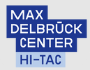 HI-TAC Mannheim/Heidelberg